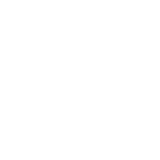 Dog Leash Training